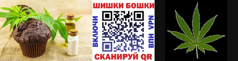 купить   Шилка  Canna-Cookies конопля 
