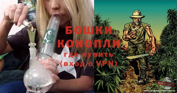 ГАЛЛЮЦИНОГЕННЫЕ ГРИБЫ Арсеньев
