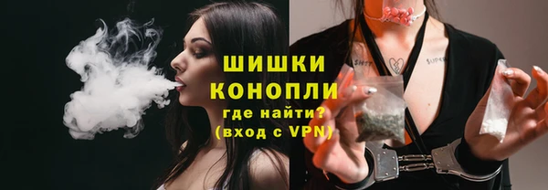 ГАЛЛЮЦИНОГЕННЫЕ ГРИБЫ Арсеньев
