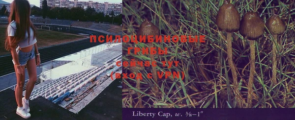 ГАЛЛЮЦИНОГЕННЫЕ ГРИБЫ Арсеньев