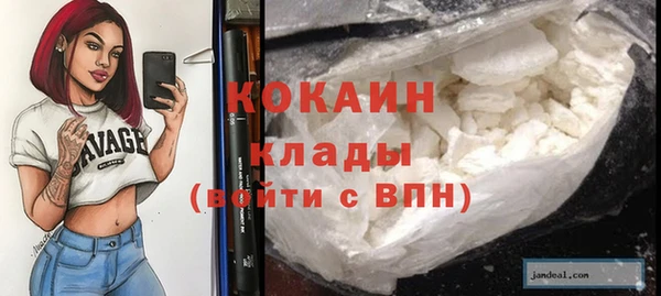 ГАЛЛЮЦИНОГЕННЫЕ ГРИБЫ Арсеньев